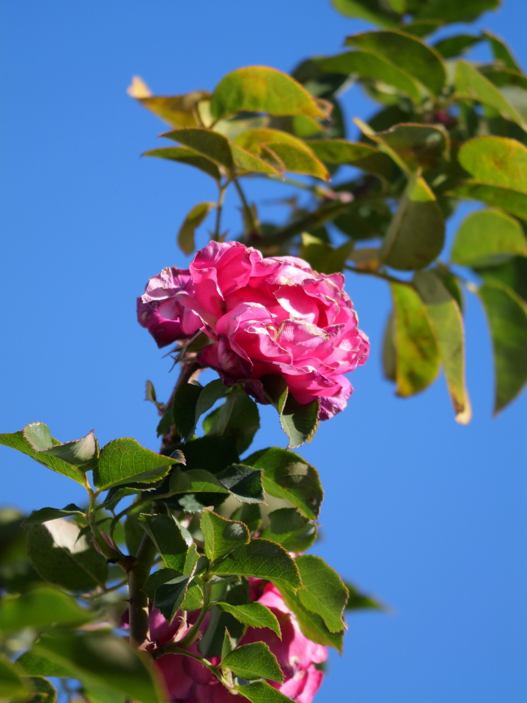 2024-01-16 09_44№(0037).JPG