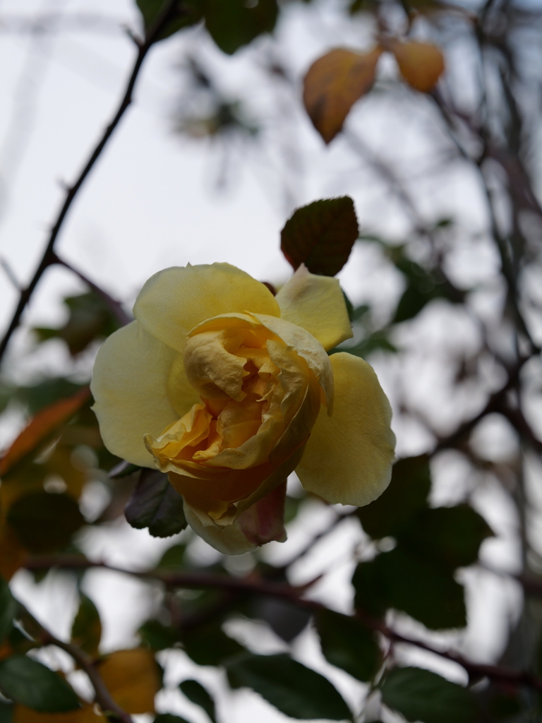 2024-02-20 08_34№(0027).JPG