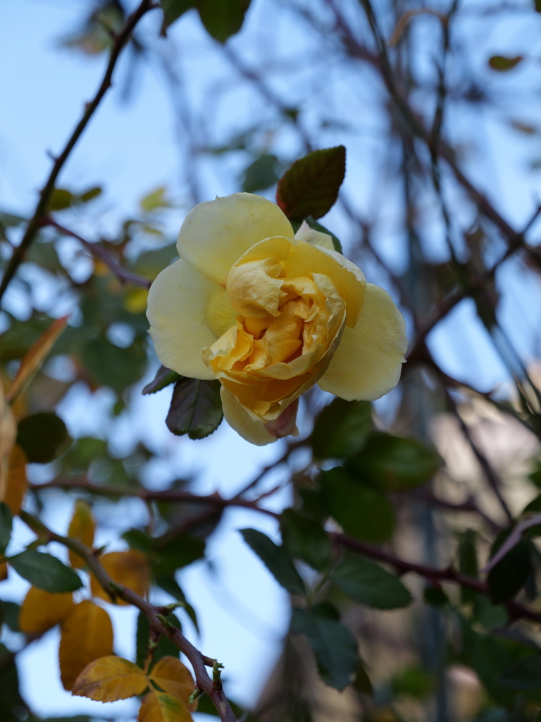 2024-02-24 09_04№(0014).JPG