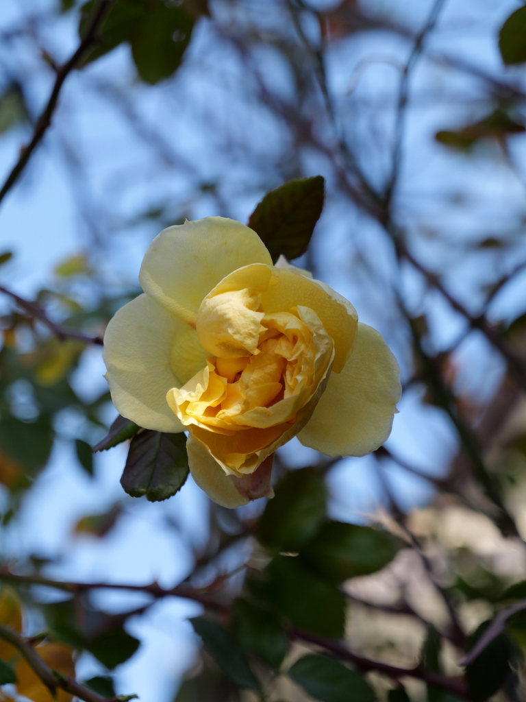 2024-02-24 09_04№(0015).JPG