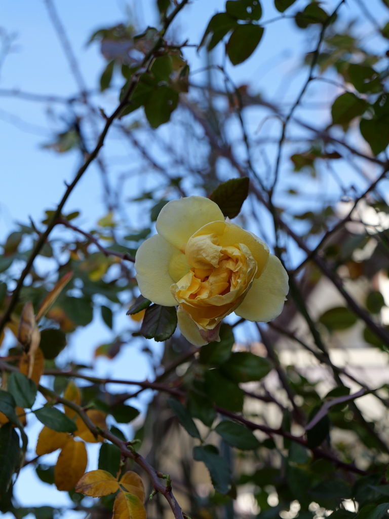2024-02-24 09_04№(0017).JPG