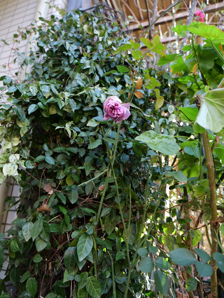 2024-02-24 09_06№(0038).JPG