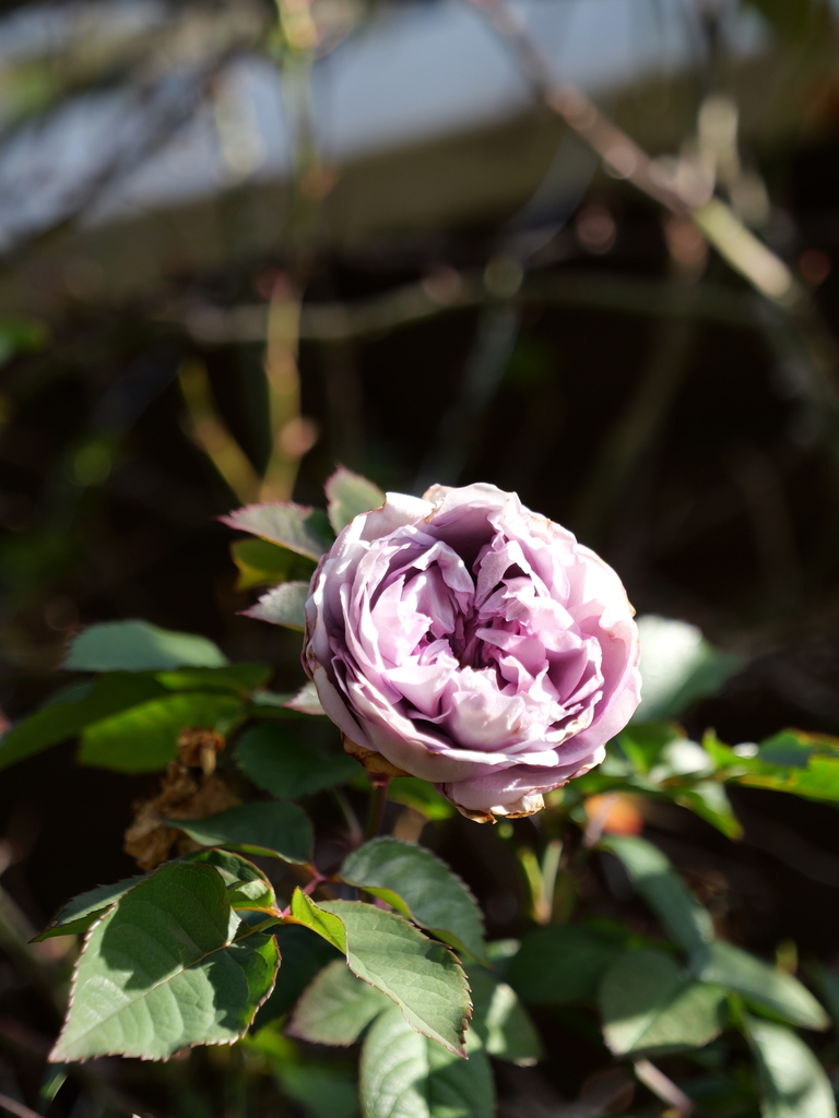2024-02-24 09_06№(0048).JPG