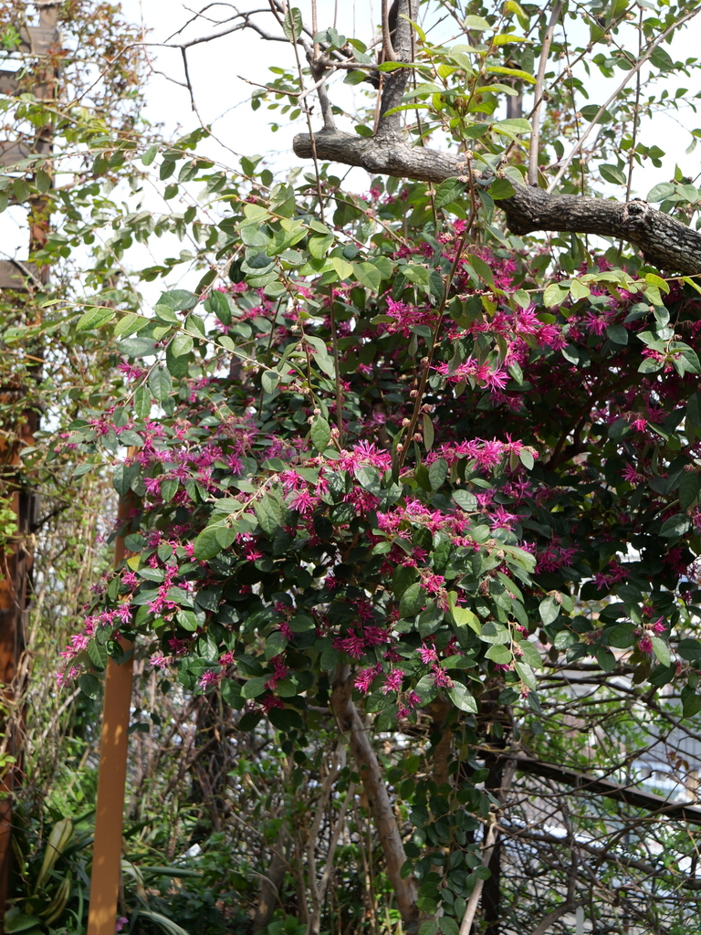 2024-03-19 12_42№(0058).JPG