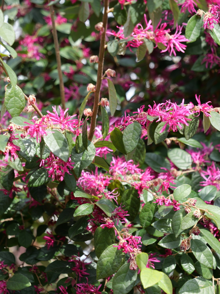 2024-03-19 12_42№(0060).JPG
