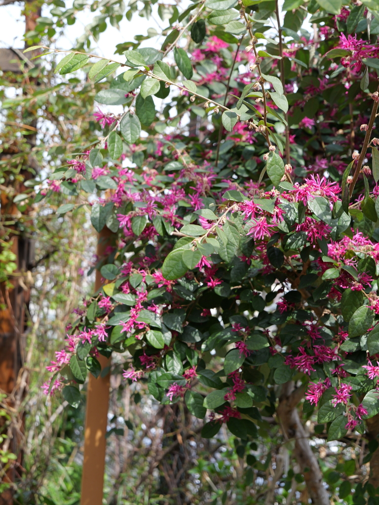 2024-03-19 12_42№(0063).JPG