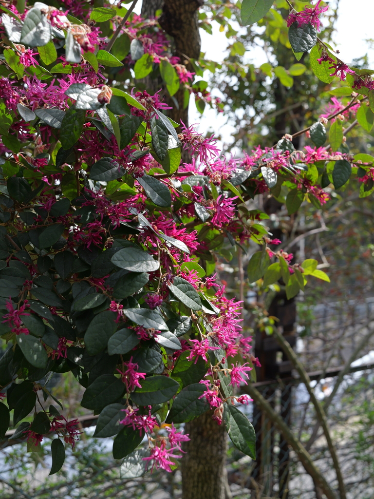 2024-03-19 12_42№(0067).JPG