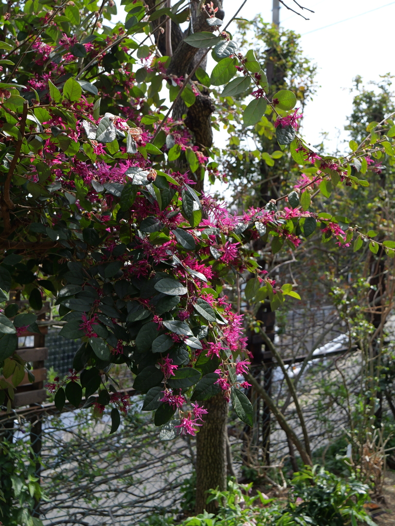 2024-03-19 12_42№(0068).JPG