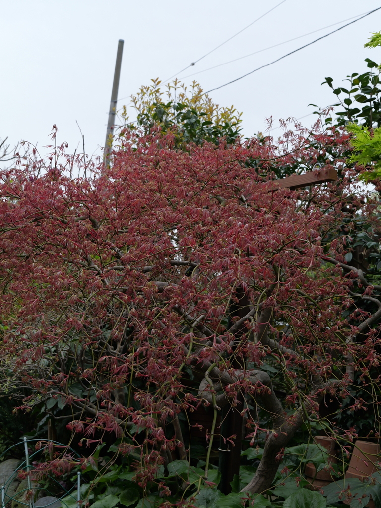 2024-04-06 10_11№(0024).JPG