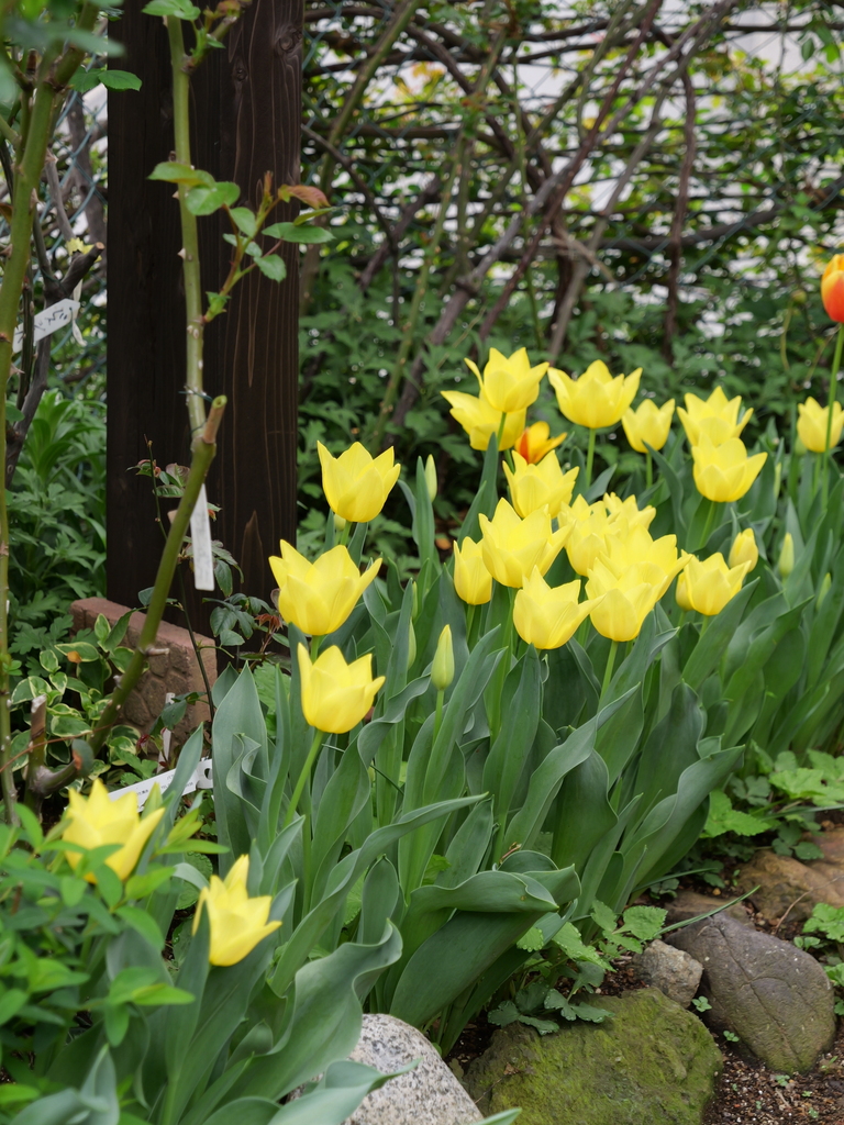 2024-04-08 10_38№(0075).JPG