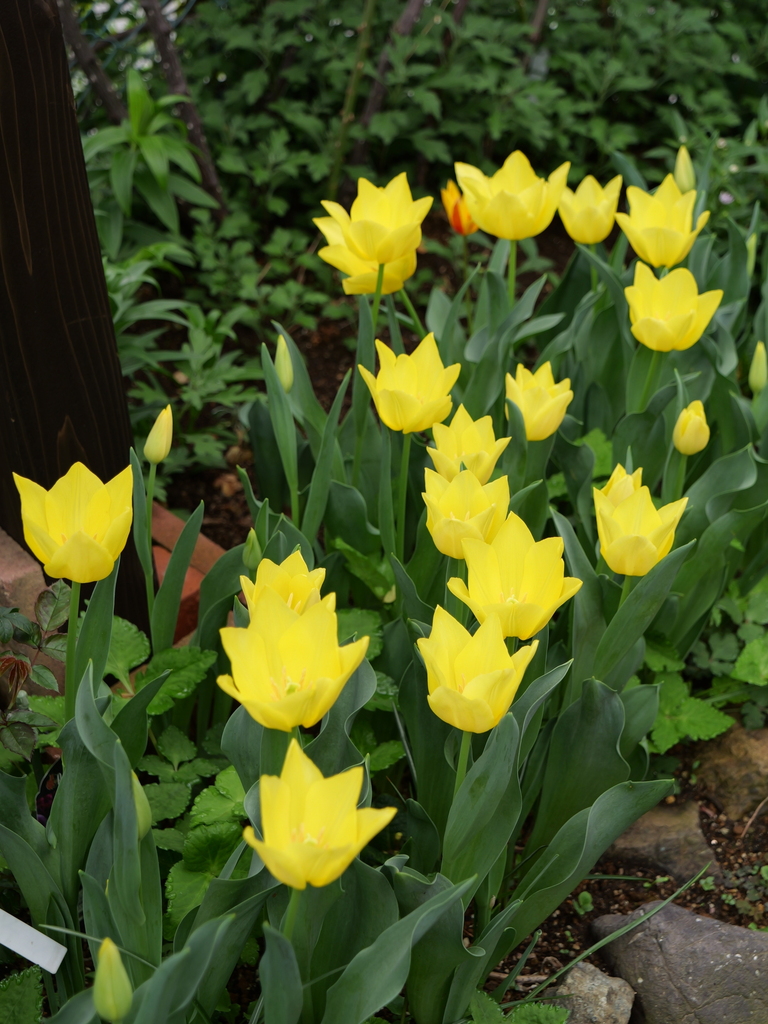 2024-04-08 10_38№(0078).JPG