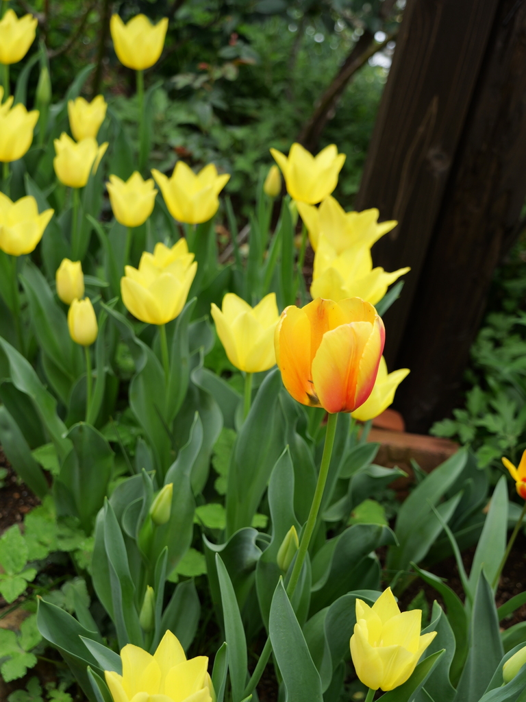 2024-04-08 10_39№(0080).JPG