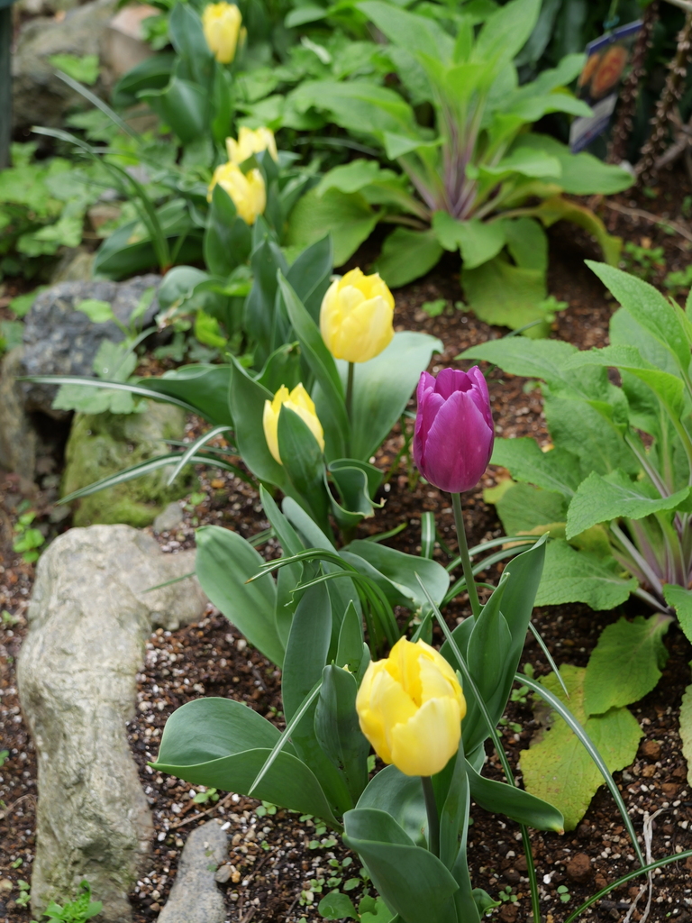 2024-04-08 10_39№(0083).JPG