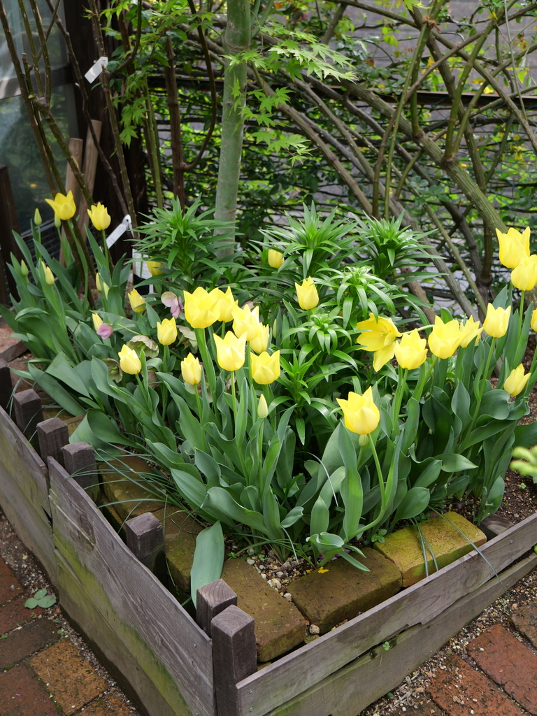 2024-04-11 15_04№(0030).JPG