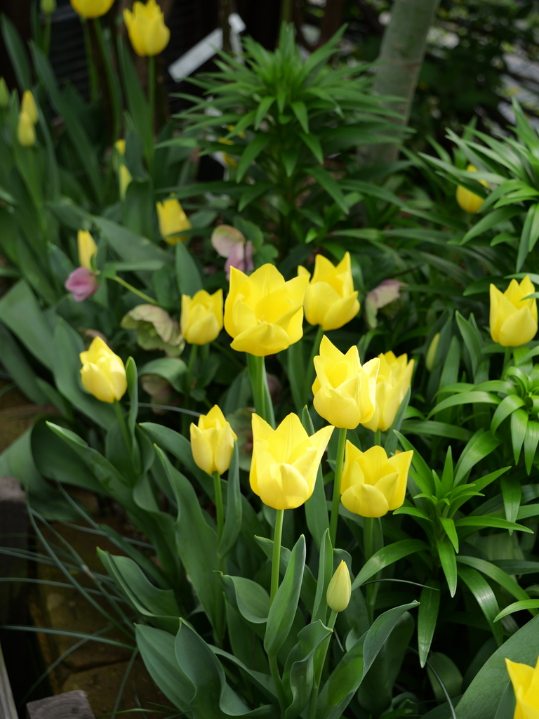 2024-04-11 15_04№(0031).JPG