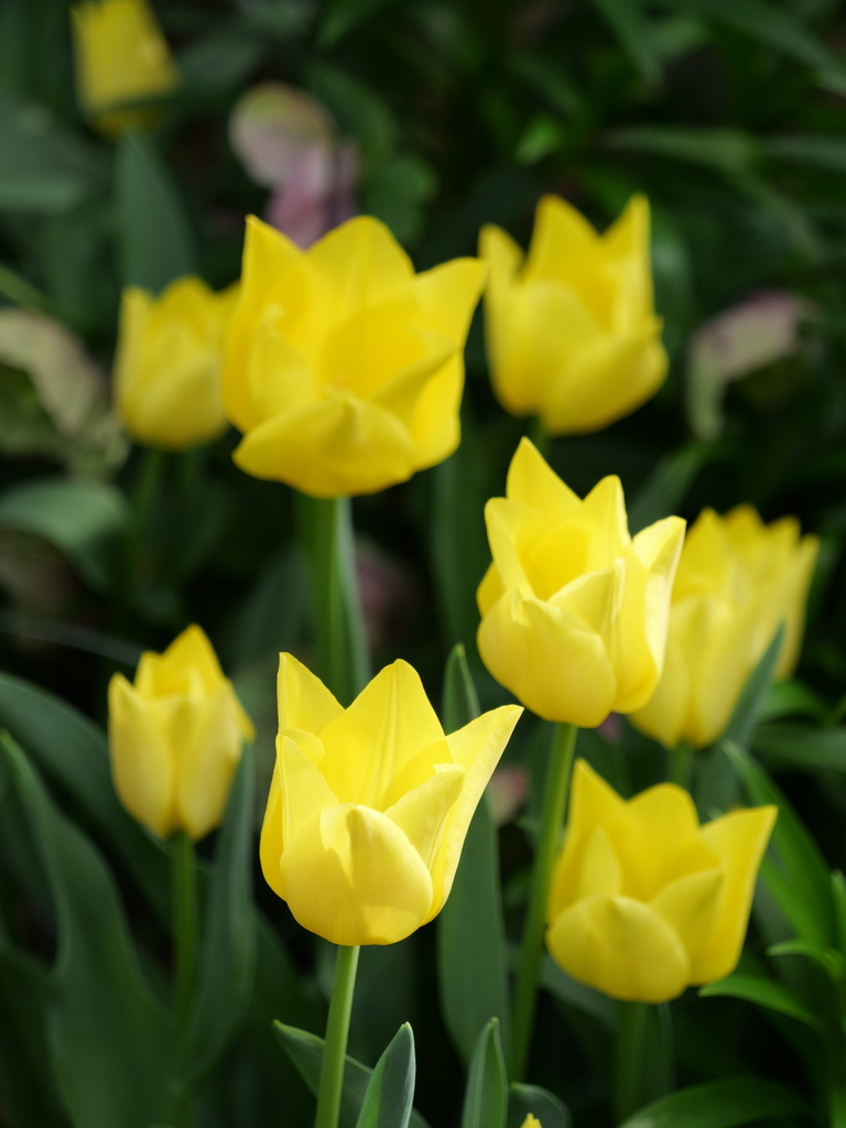 2024-04-11 15_05№(0032).JPG