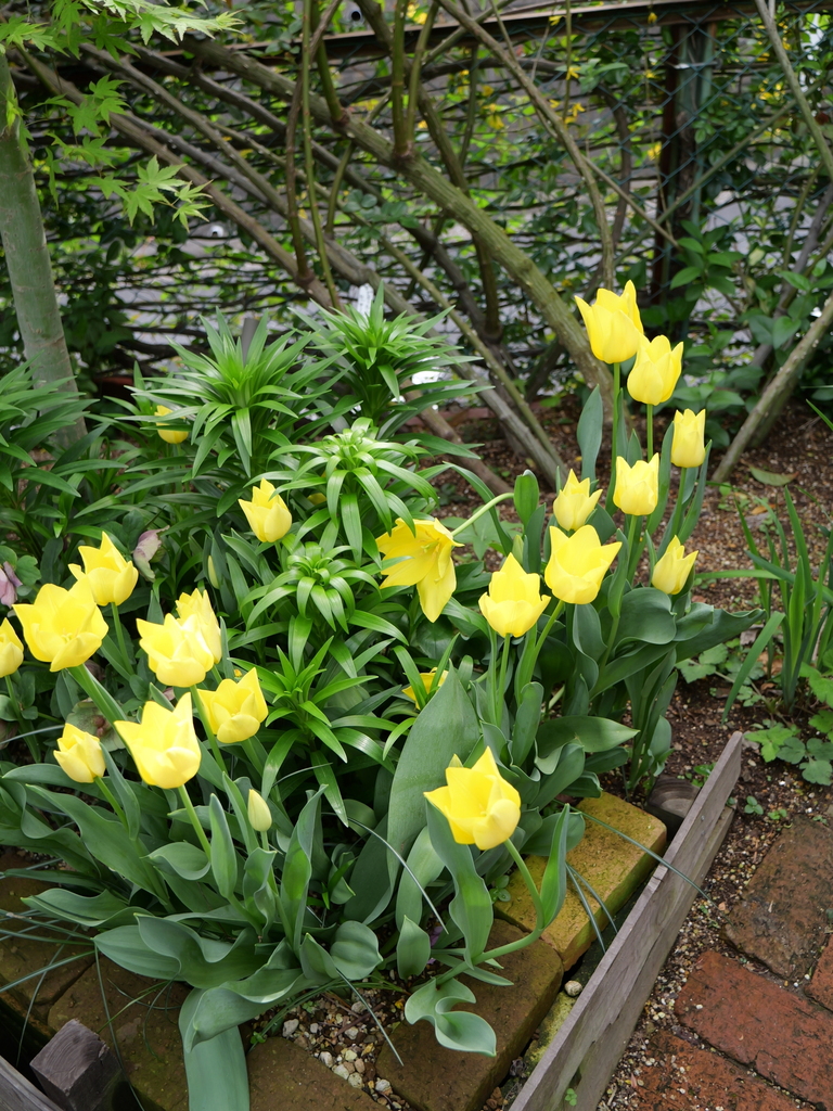 2024-04-11 15_05№(0033).JPG