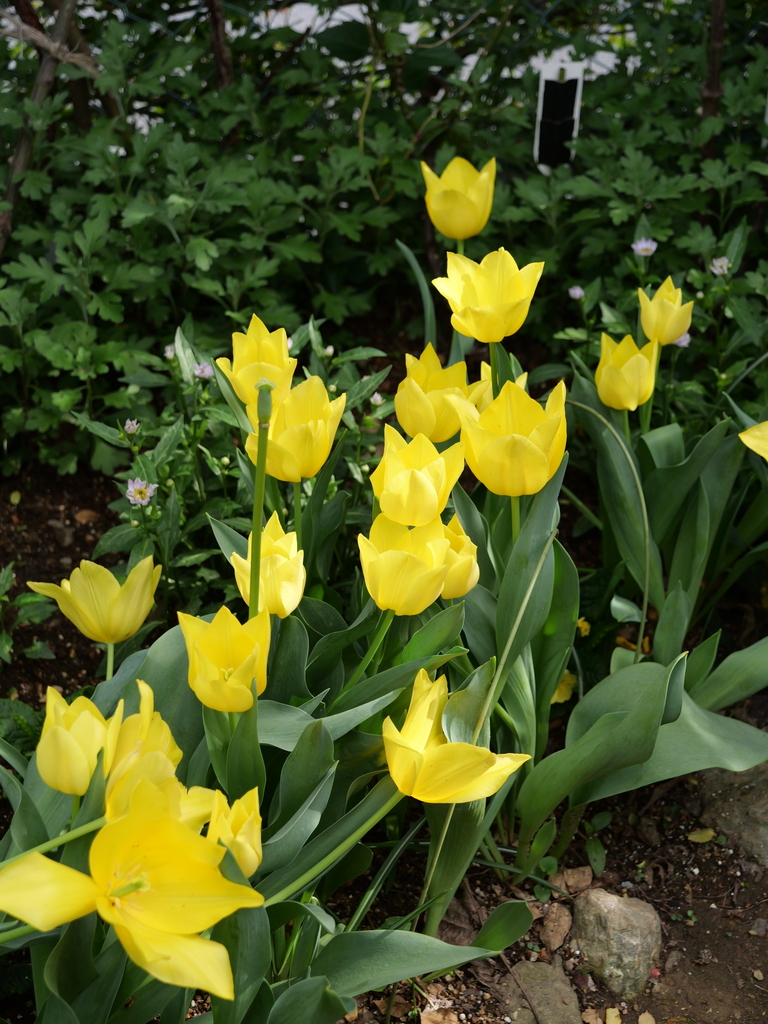 2024-04-11 15_05№(0039).JPG