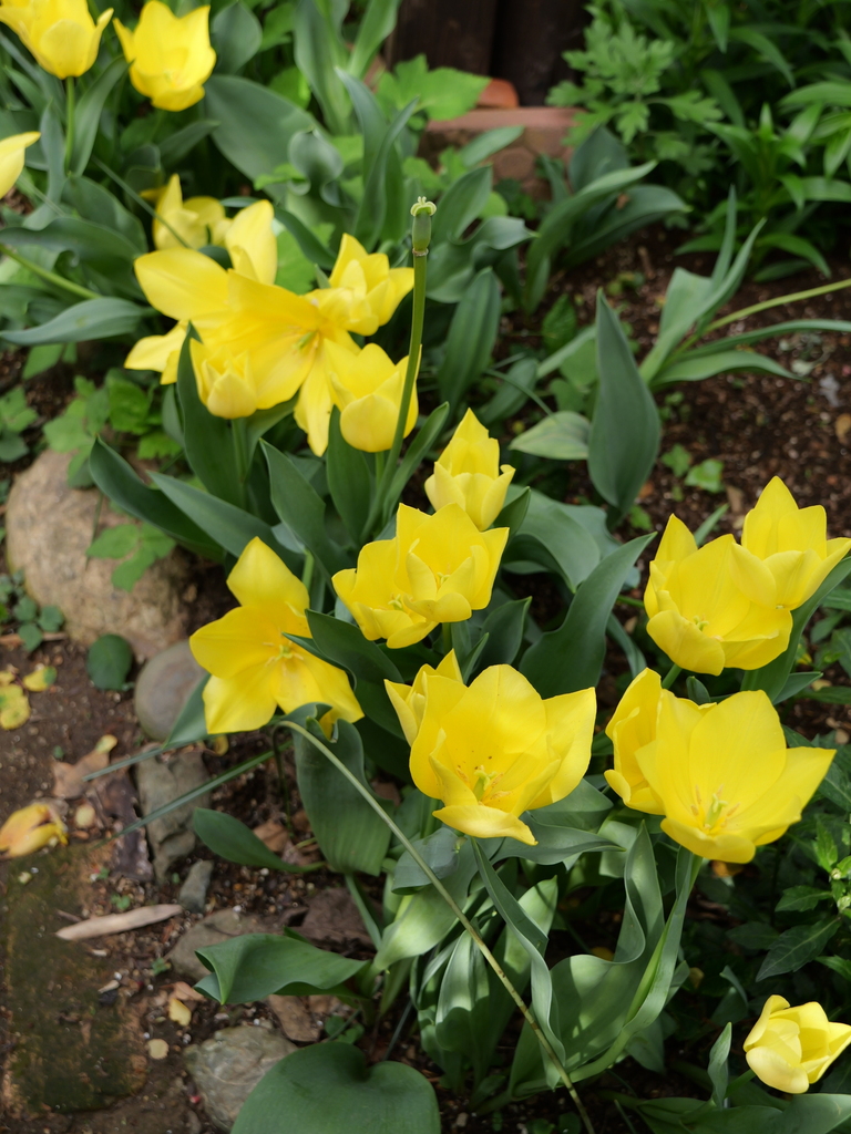 2024-04-11 15_05№(0043).JPG