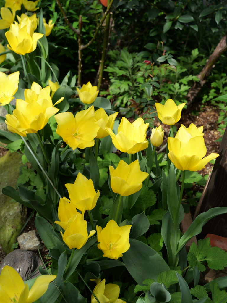 2024-04-11 15_05№(0045).JPG