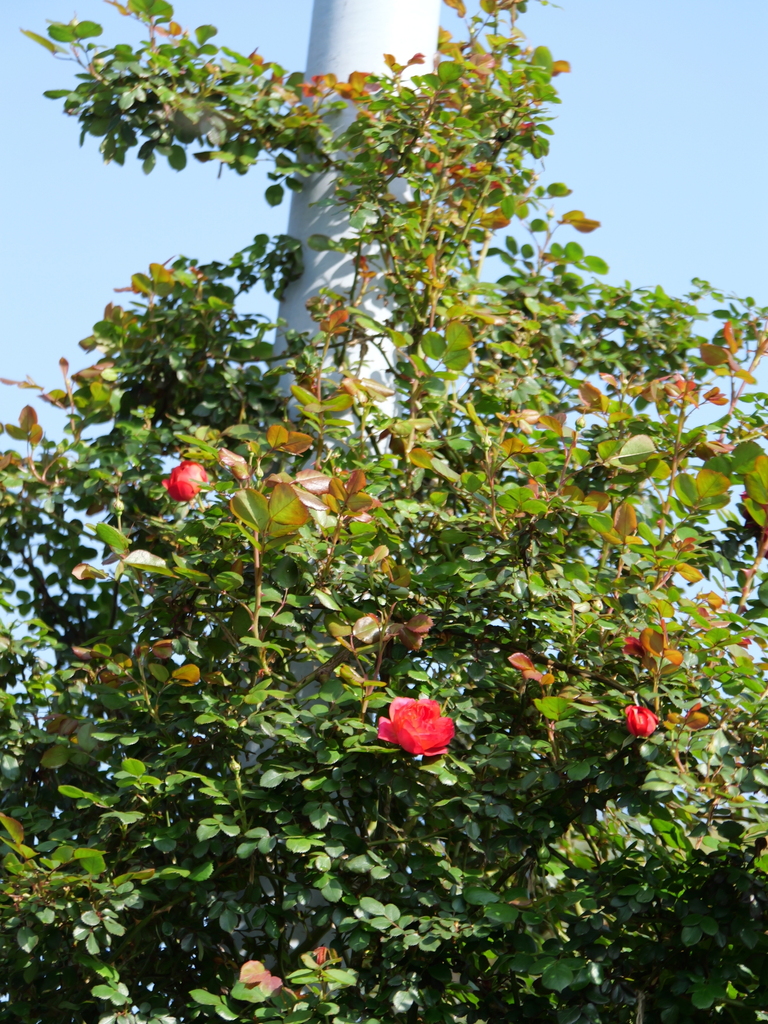 2024-04-15 08_05№(0189).JPG