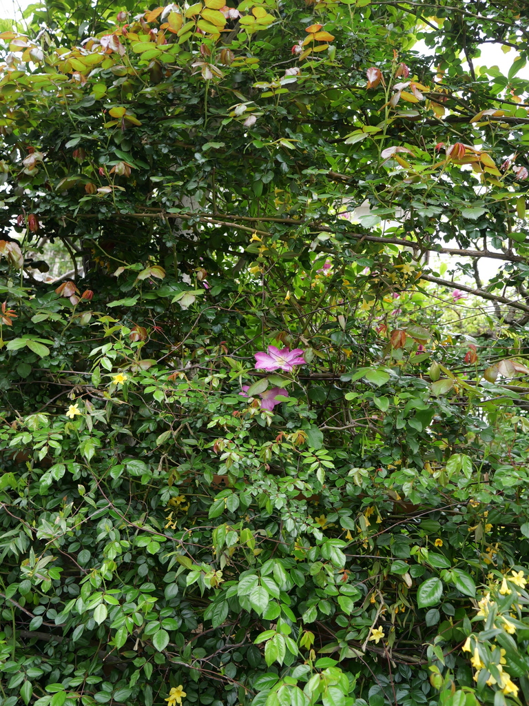 2024-04-18 09_40№(0001).JPG