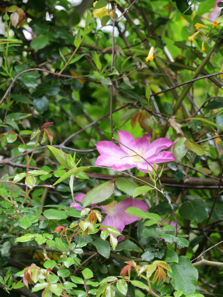 2024-04-18 09_40№(0002).JPG