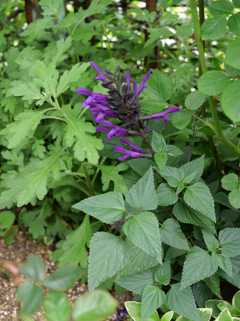 2024-04-18 09_42№(0020).JPG