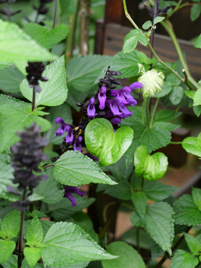 2024-04-18 09_42№(0023).JPG