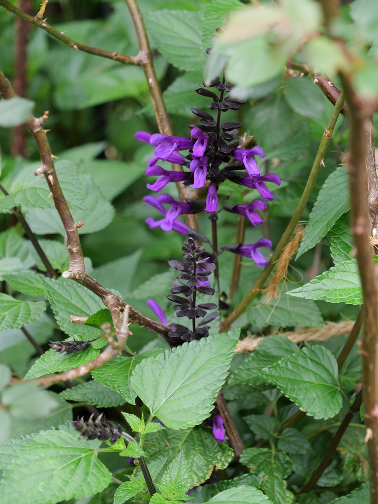 2024-04-18 09_43№(0026).JPG
