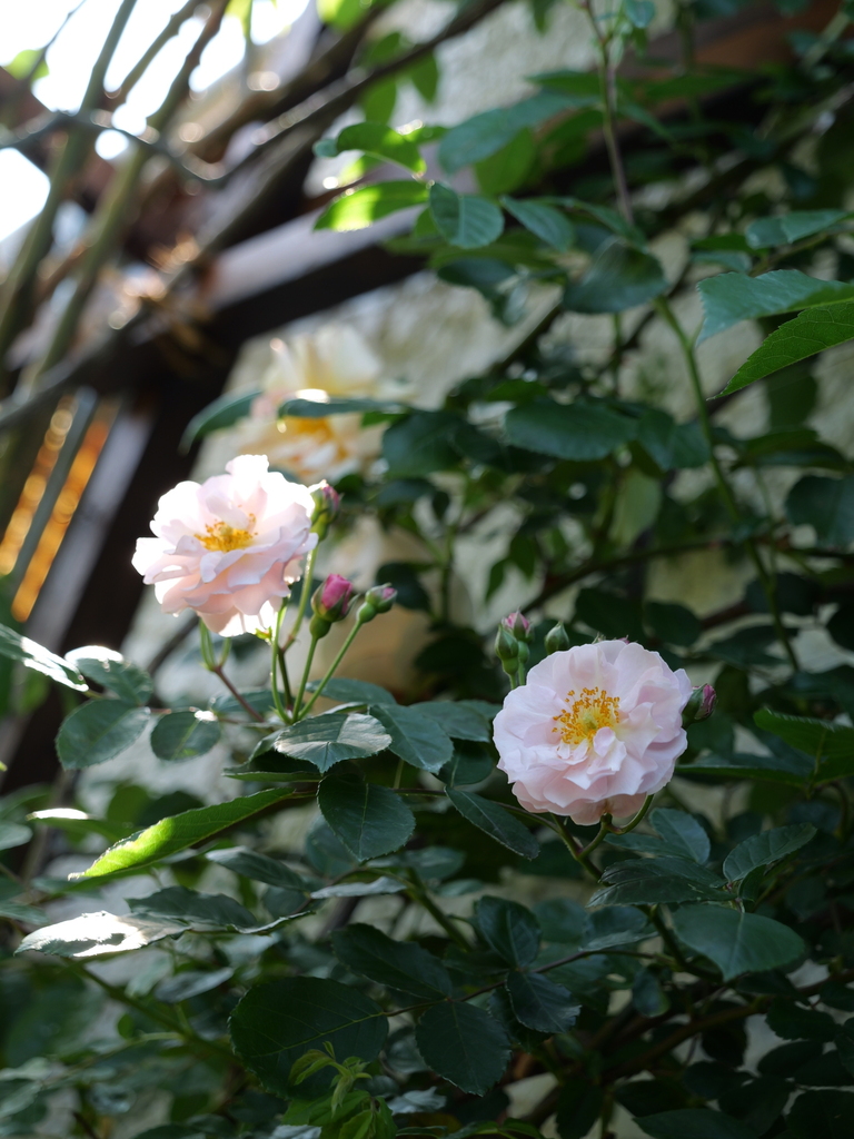 2024-04-30 14_03№(0254).JPG