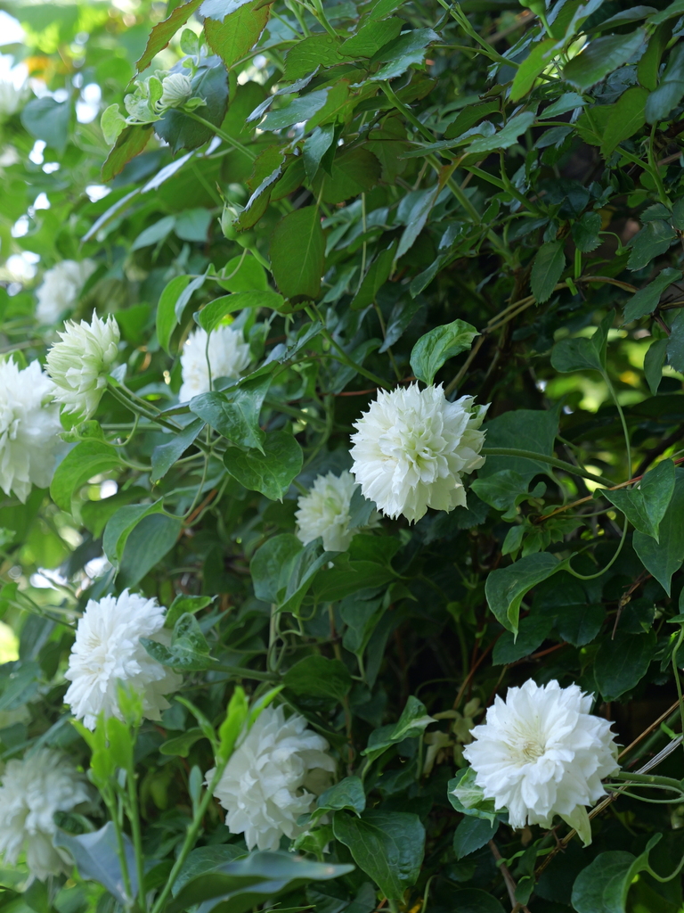 2024-04-30 14_04№(0264).JPG