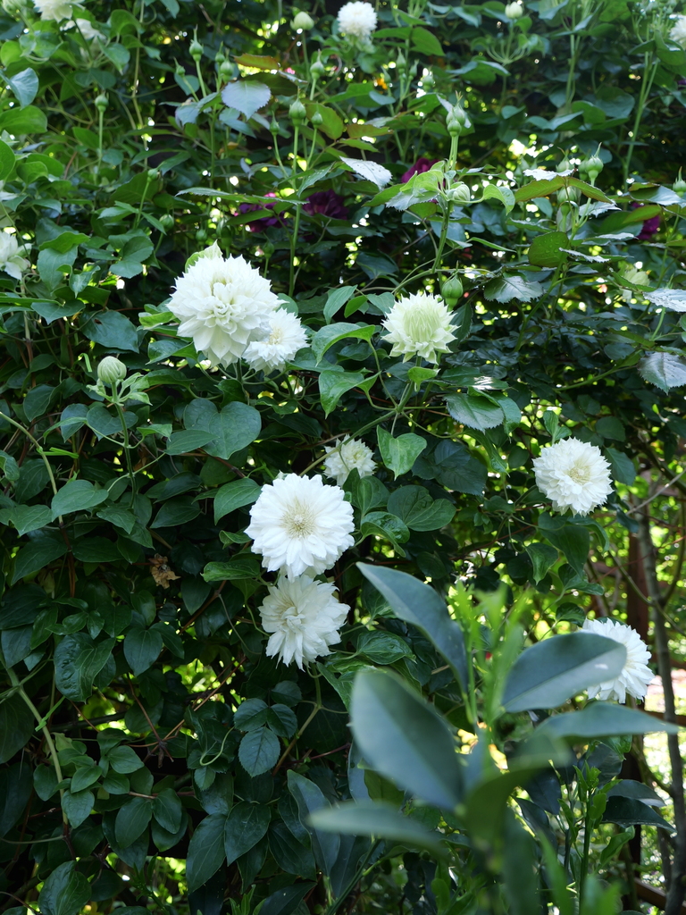 2024-04-30 14_04№(0265).JPG