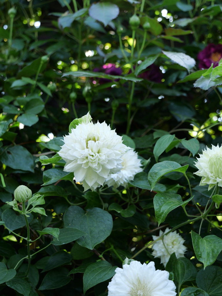 2024-04-30 14_04№(0266).JPG