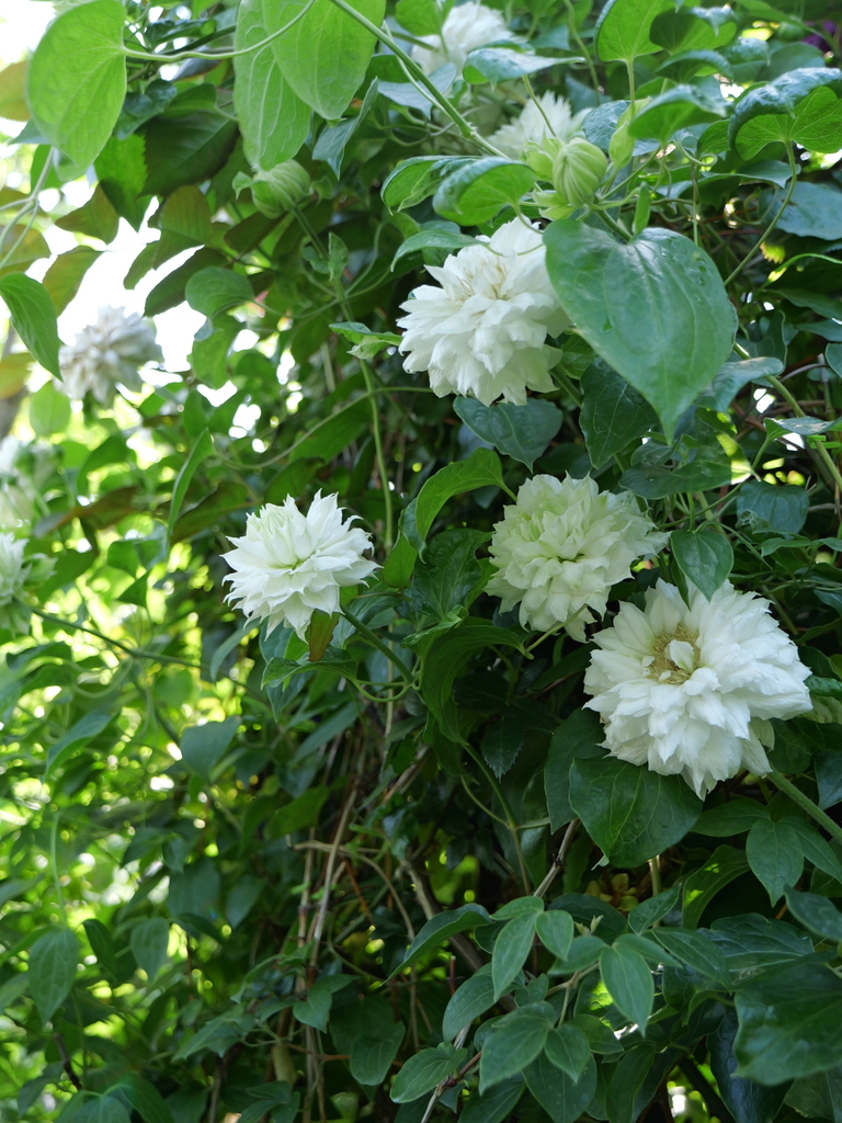 2024-04-30 14_04№(0270).JPG