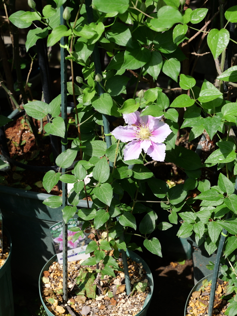 2024-04-30 14_08№(0307).JPG