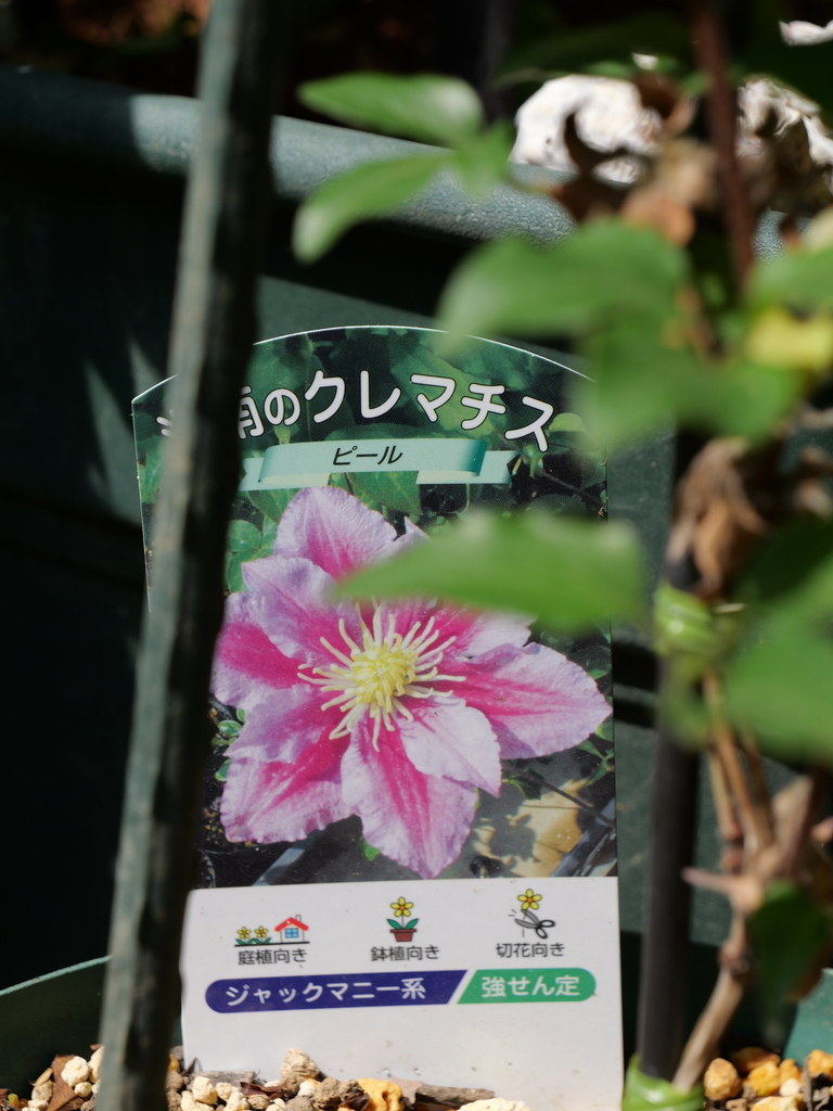 2024-04-30 14_08№(0309).JPG