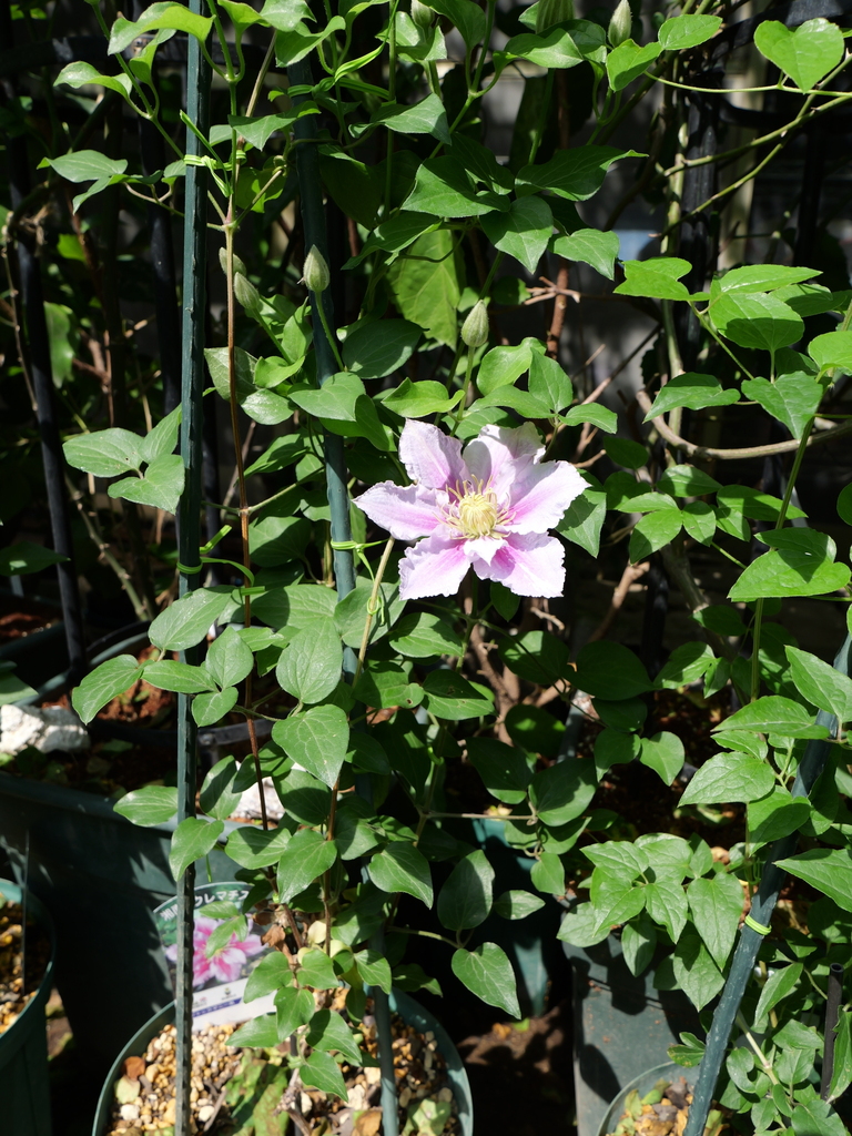 2024-04-30 14_08№(0310).JPG