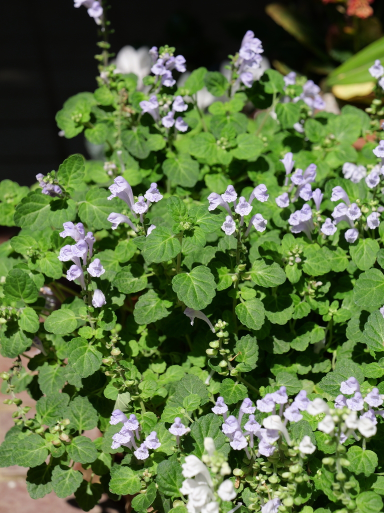 2024-04-30 14_12№(0325).JPG