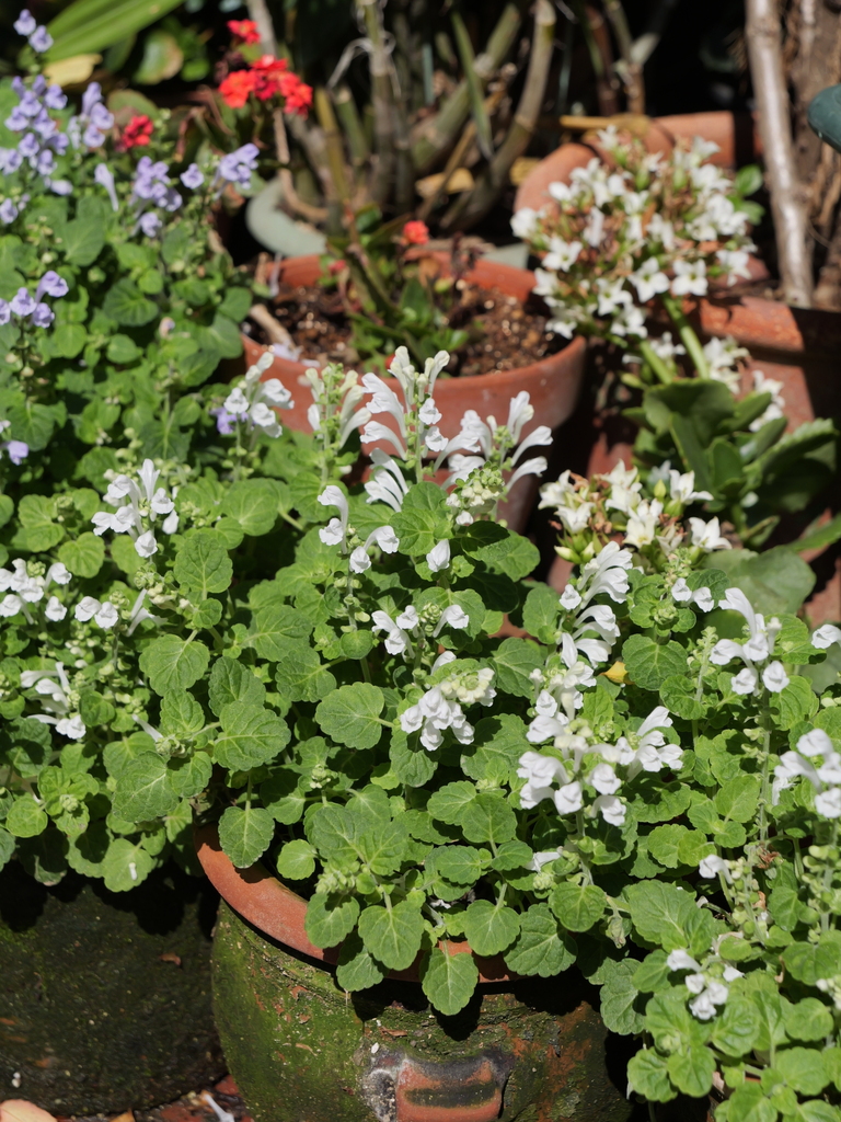 2024-04-30 14_12№(0326).JPG
