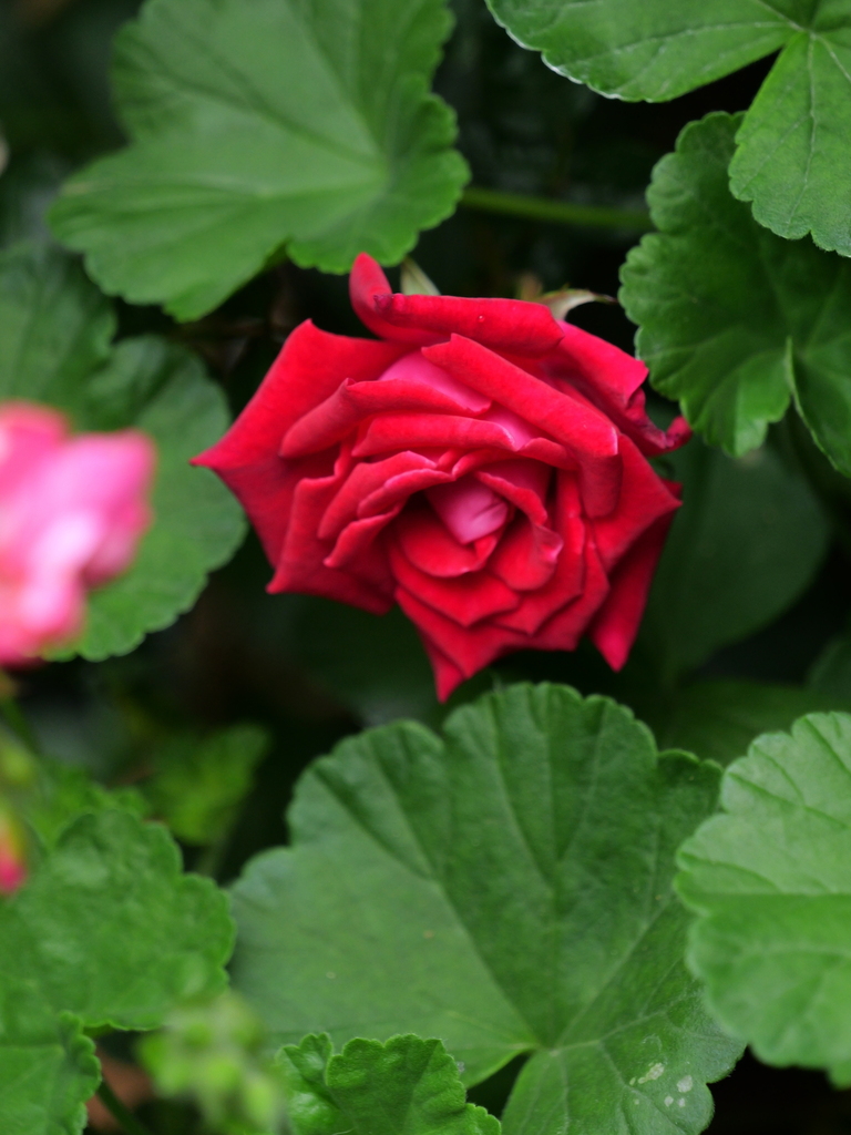 2024-05-01 08_44№(0030).JPG