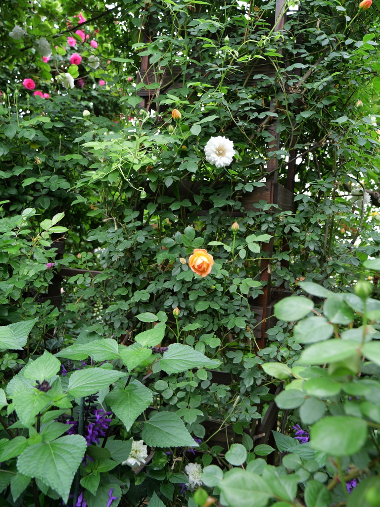2024-05-01 08_48№(0076).JPG