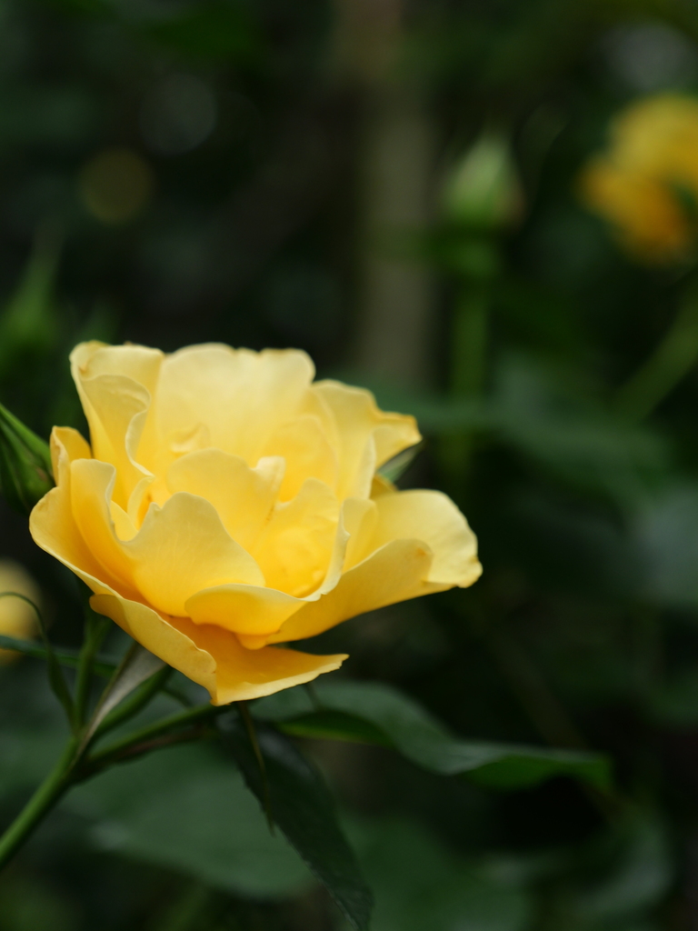 2024-05-01 08_52№(0101).JPG