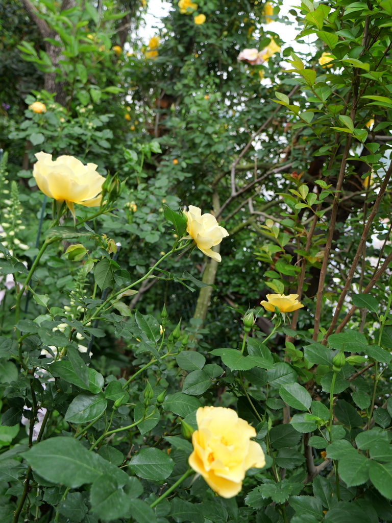 2024-05-01 08_52№(0103).JPG