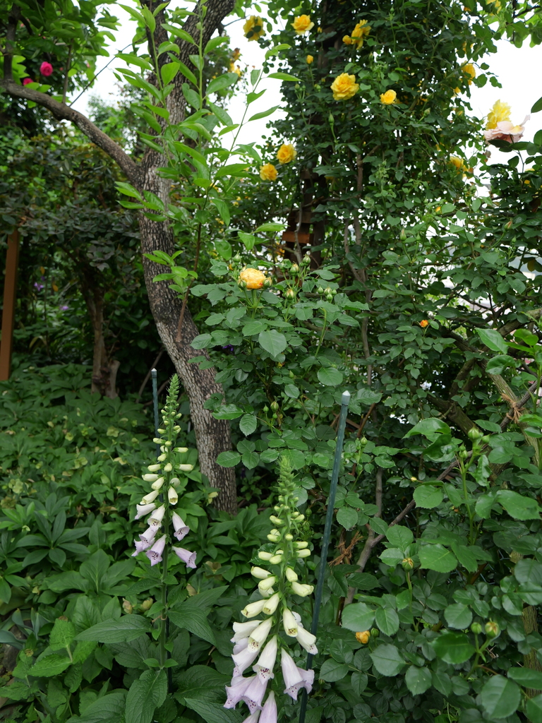 2024-05-01 08_52№(0104).JPG