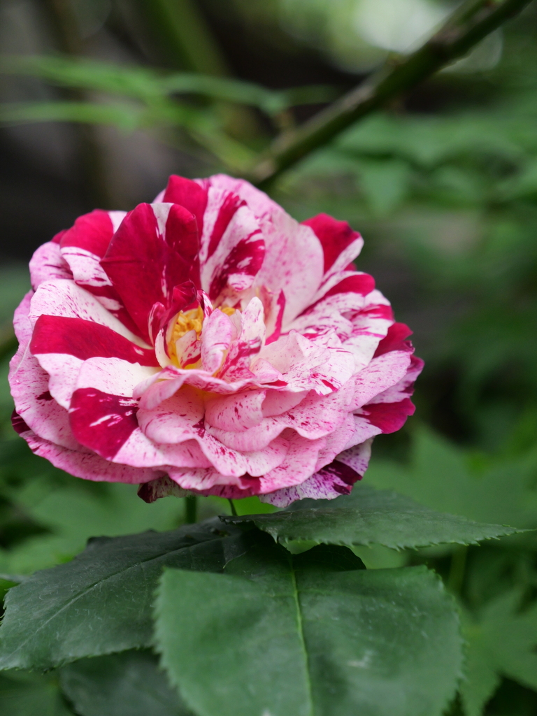 2024-05-01 09_02№(0210).JPG