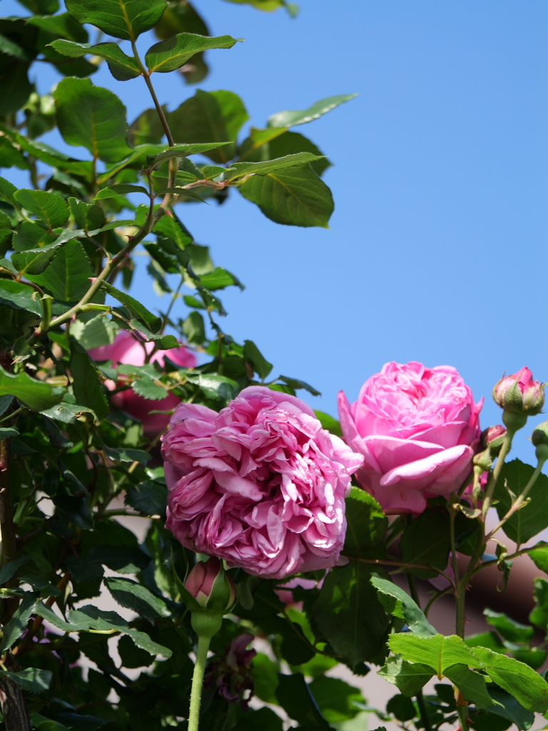 2024-05-04 06_55№(0007).JPG