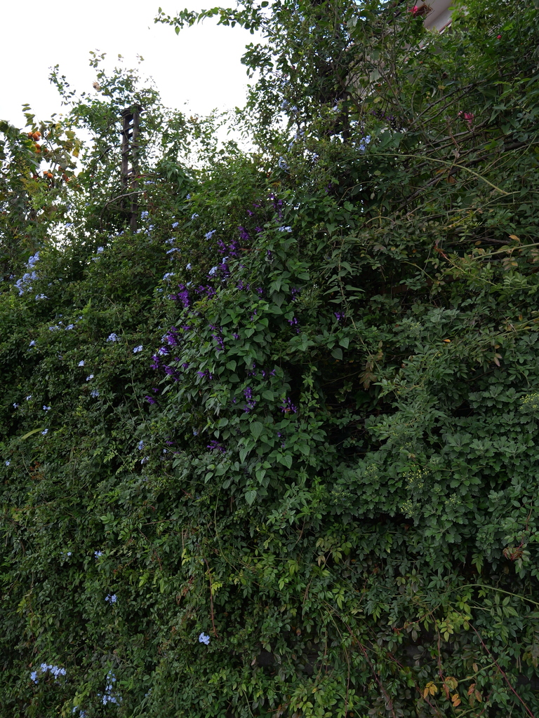 2024-11-09 14_50№(0233).JPG