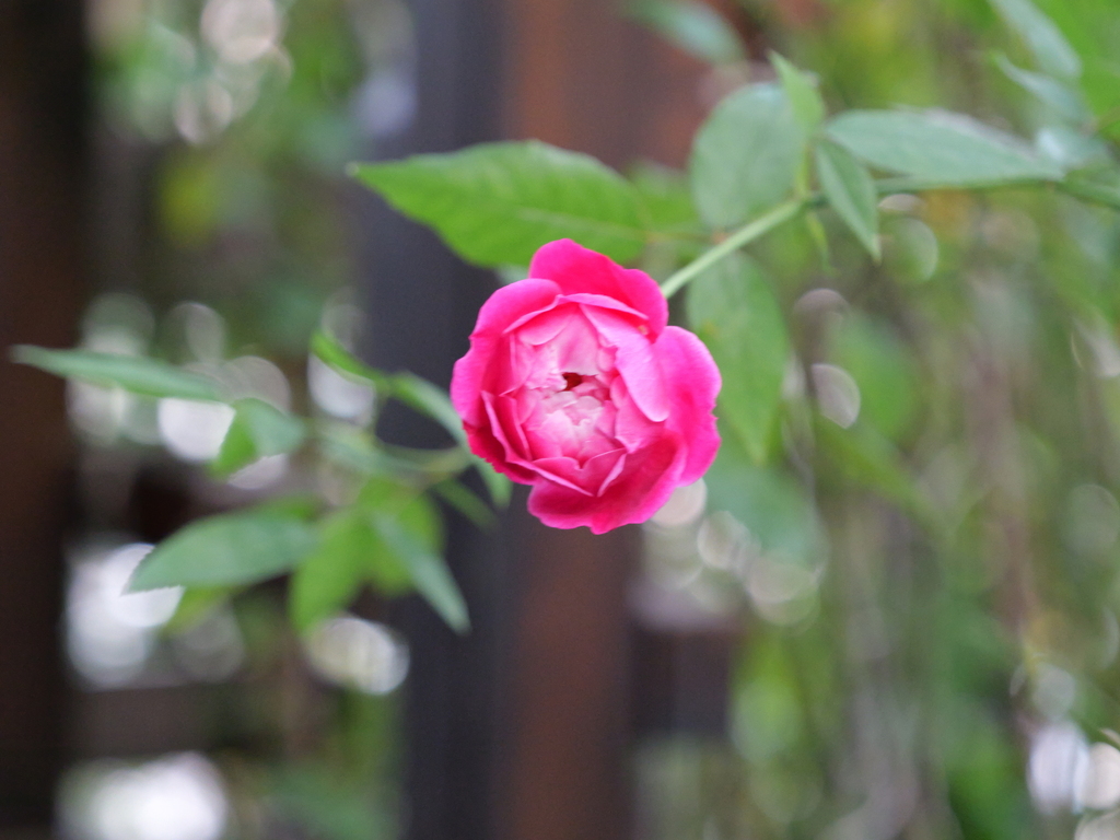 2024-11-09 14_56№(0348).JPG