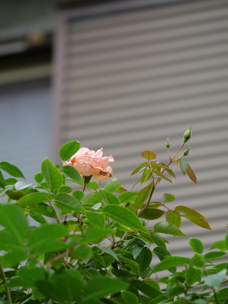 2024-11-18 10_13№(0124).JPG